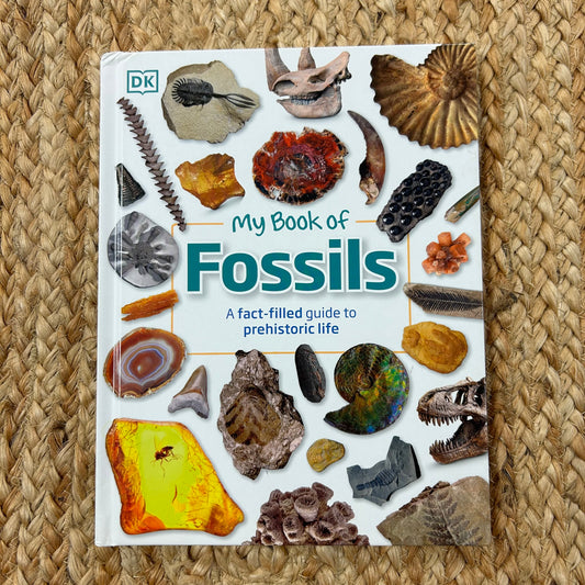 My Book of Fossils