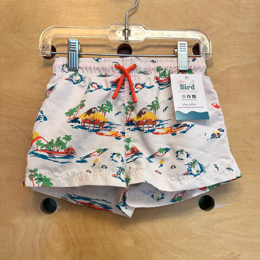 White Island Scene Swim Trunks
