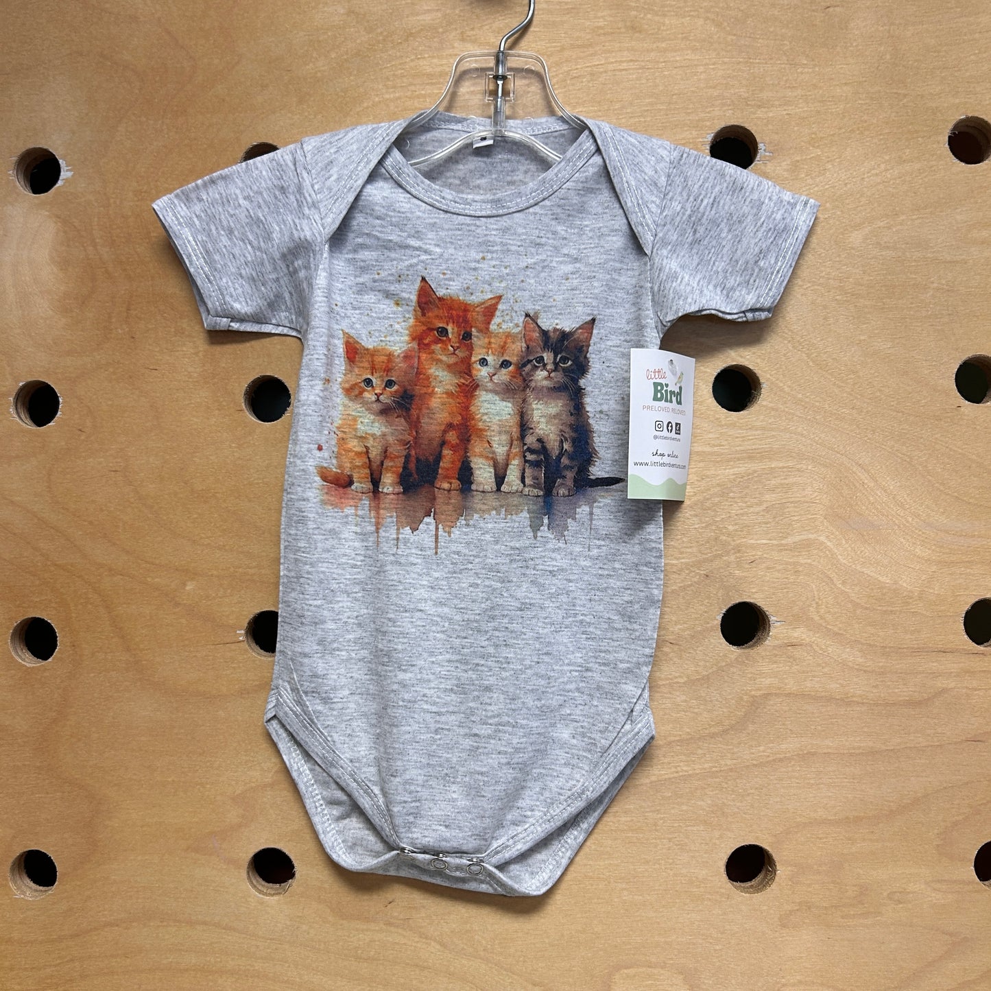 Grey Kittens Bodysuit