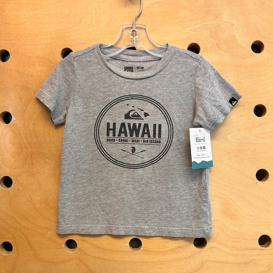 Grey Hawaii Tee