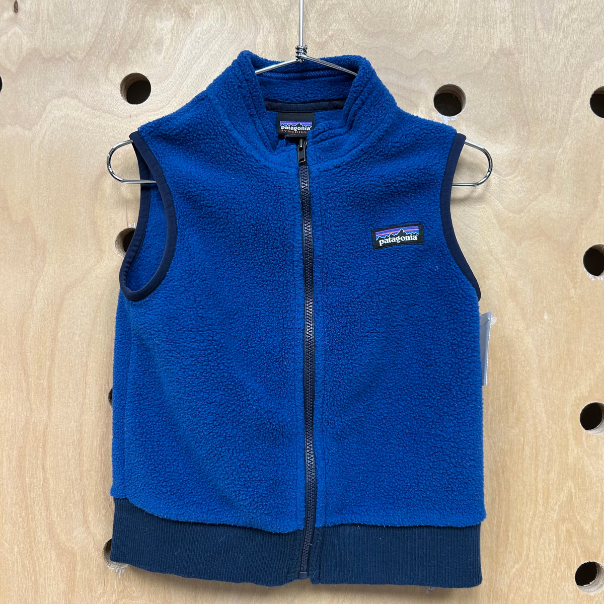 Synchilla Vest Blue