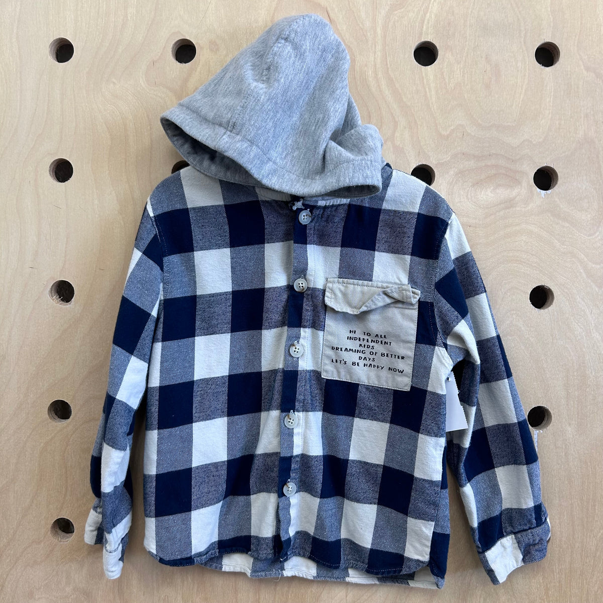 Blue Plaid Hi to All Hoodie Flannel