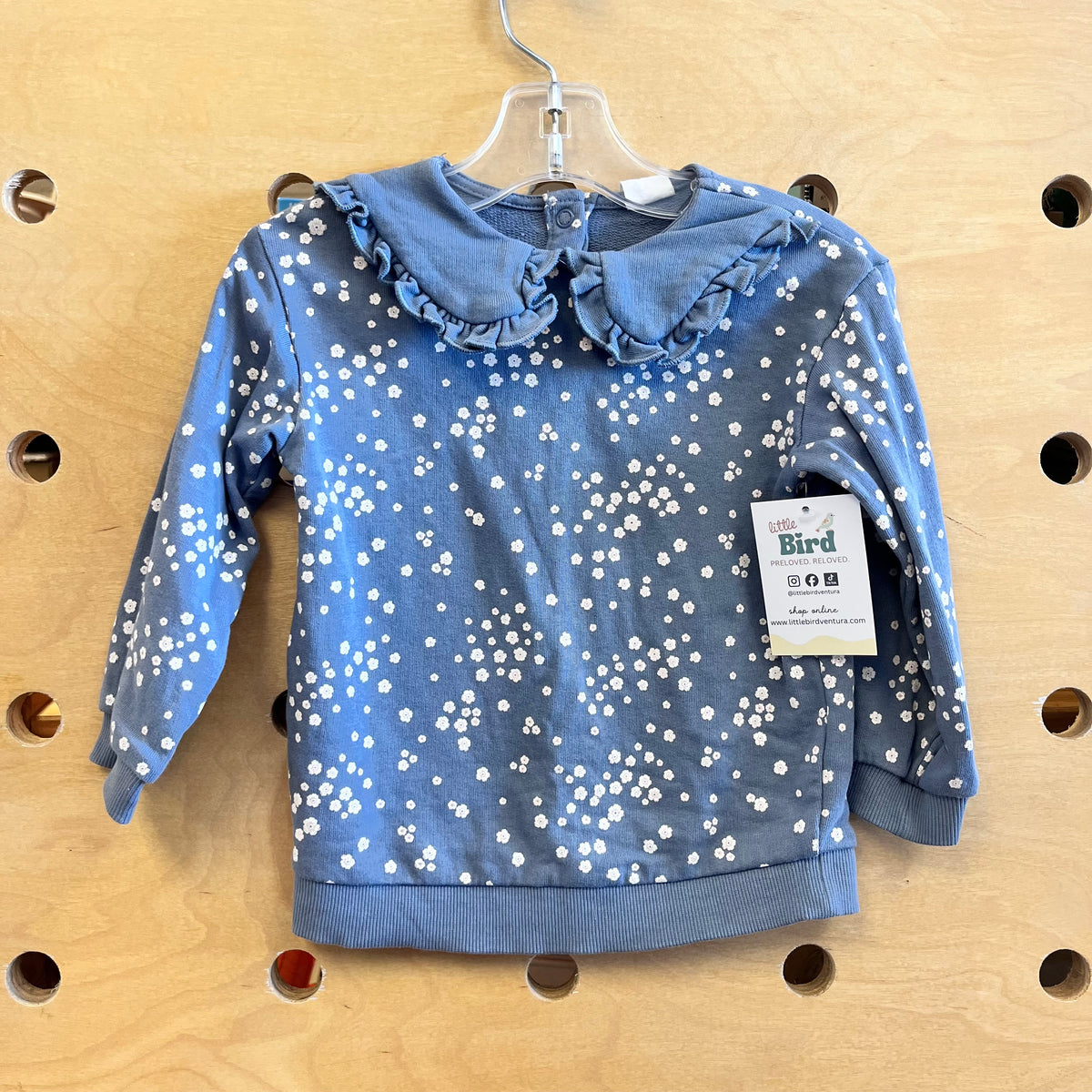 Blue Floral Peter Pan Collar Sweatshirt