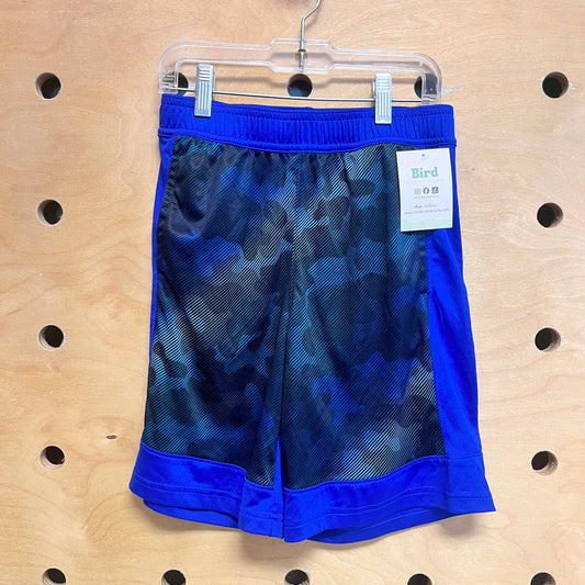 Blue/Black Mesh Shorts