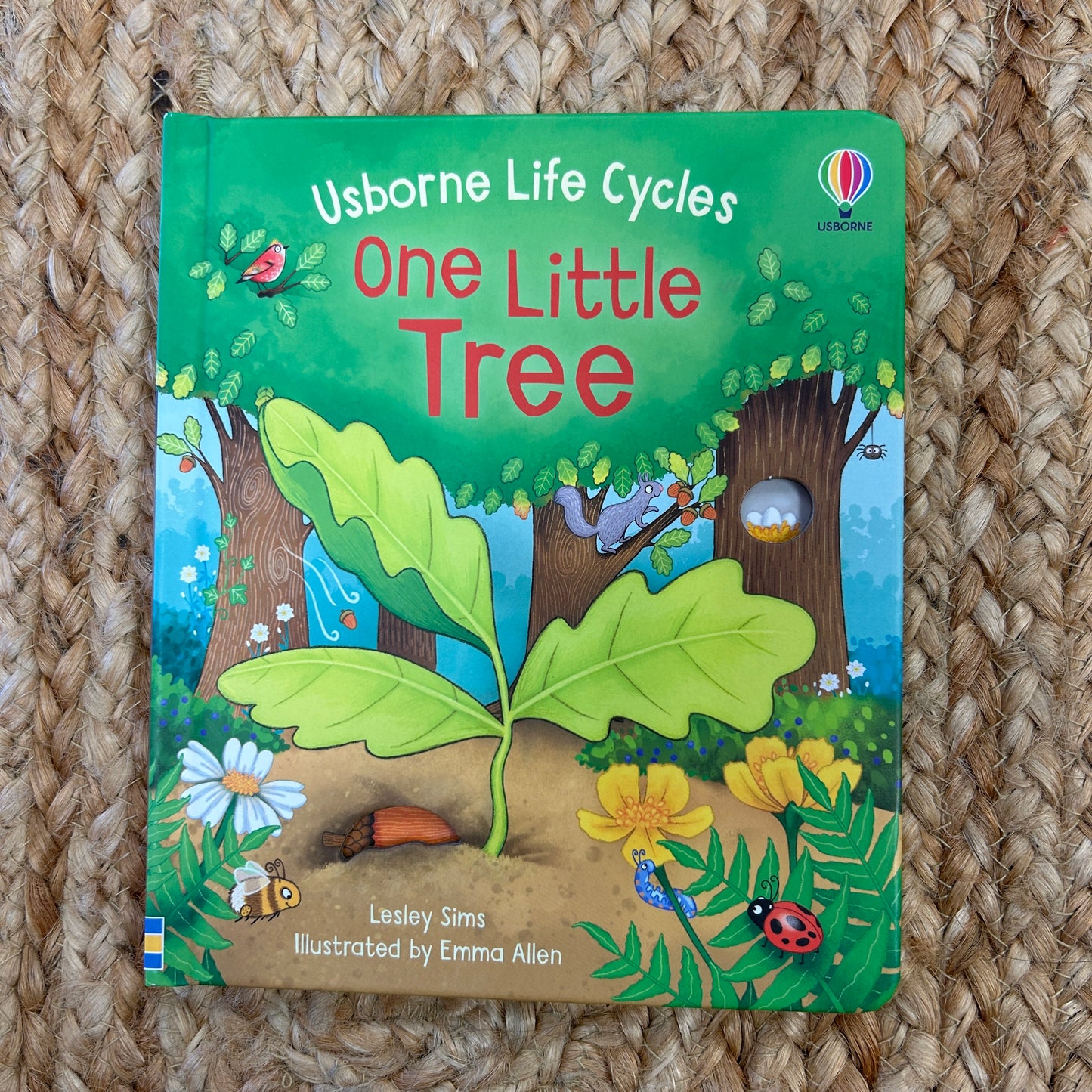 Life Cycles: One Little Tree