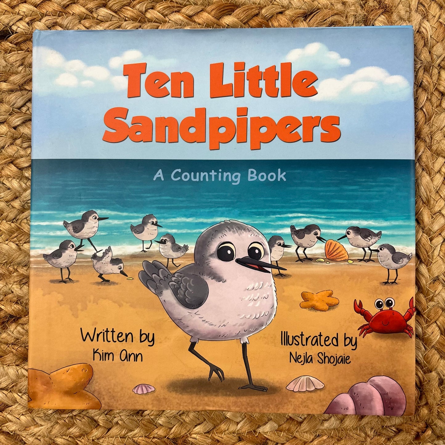 Ten Little Sandpipers