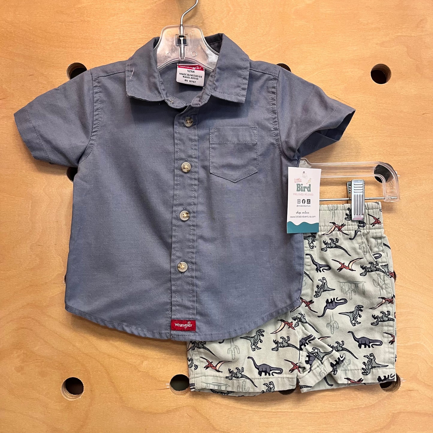 Blue Button Up/Dino Shorts Outfit