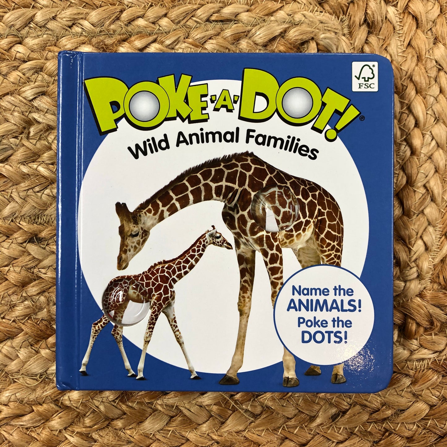Poke-a-Dot Wild Animal Families