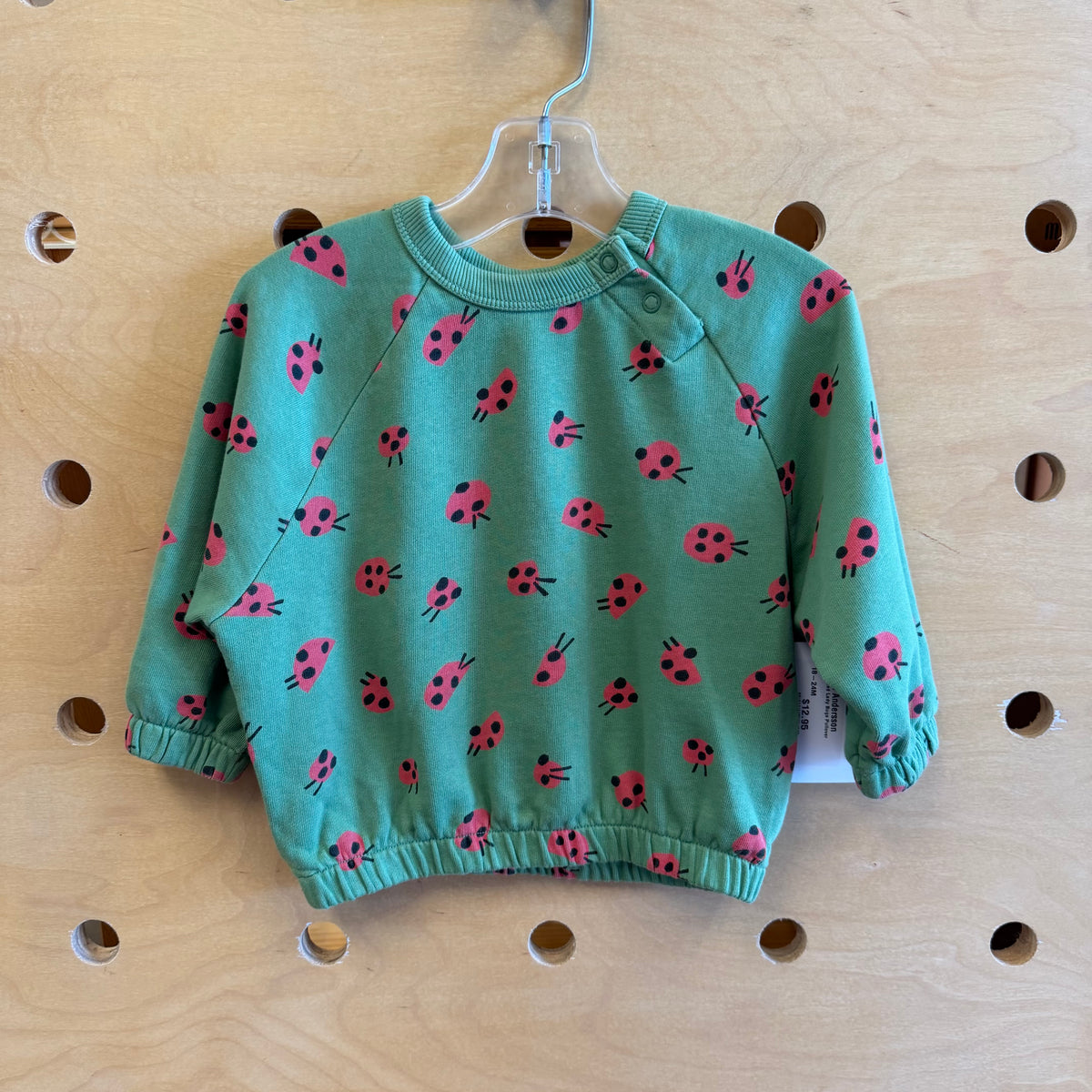 Green/Red Lady Bugs Pullover