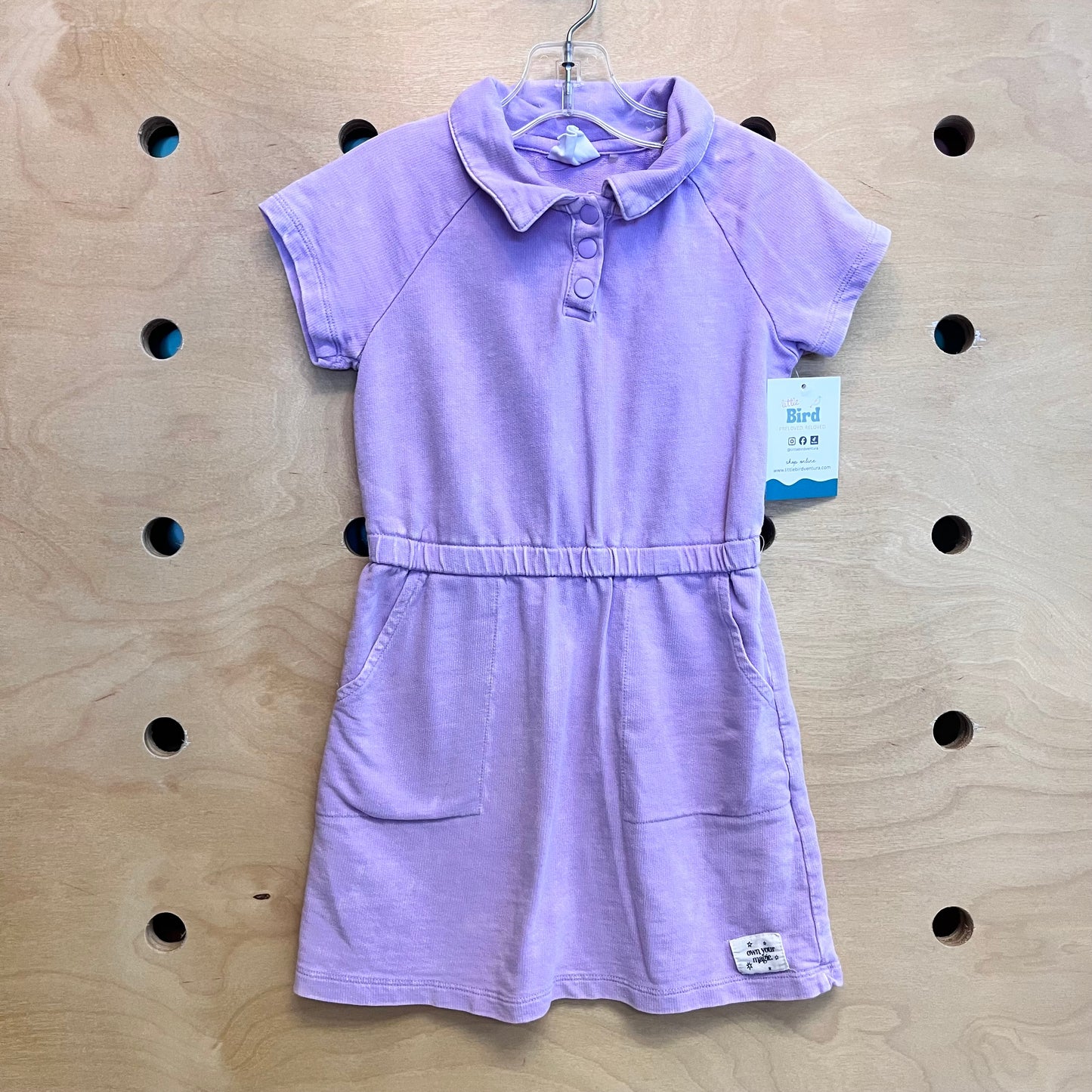 Lavender Collared Dress
