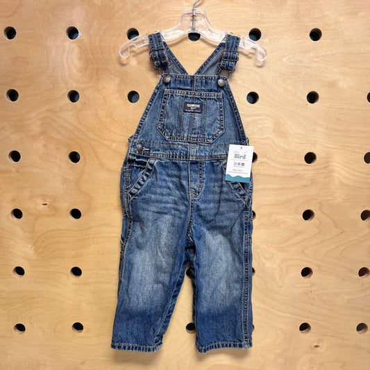 Denim Carpenter Overalls