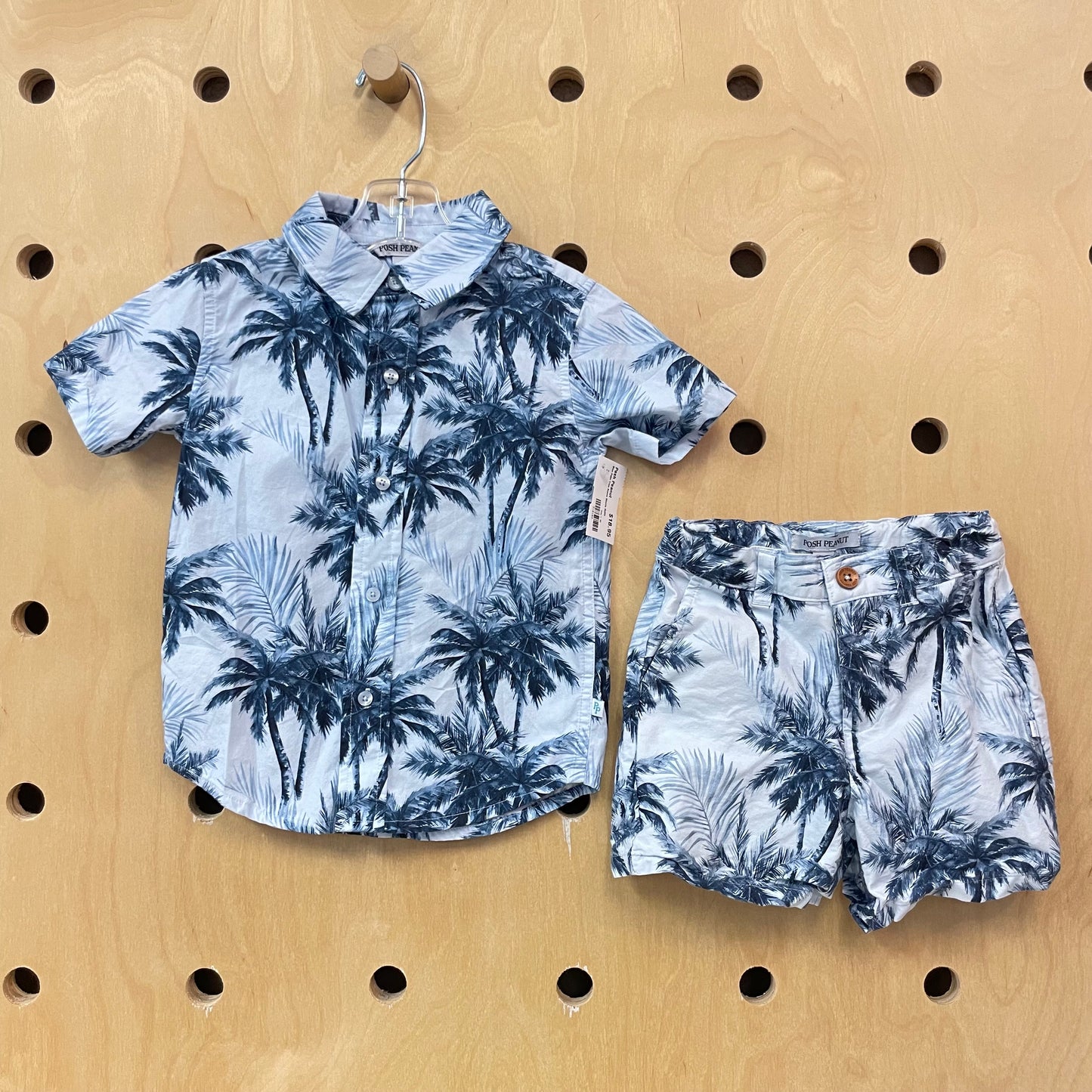 Blue Palm Tree Scene Shorts Outfit
