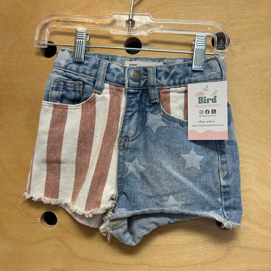 American Flag Denim Shorts