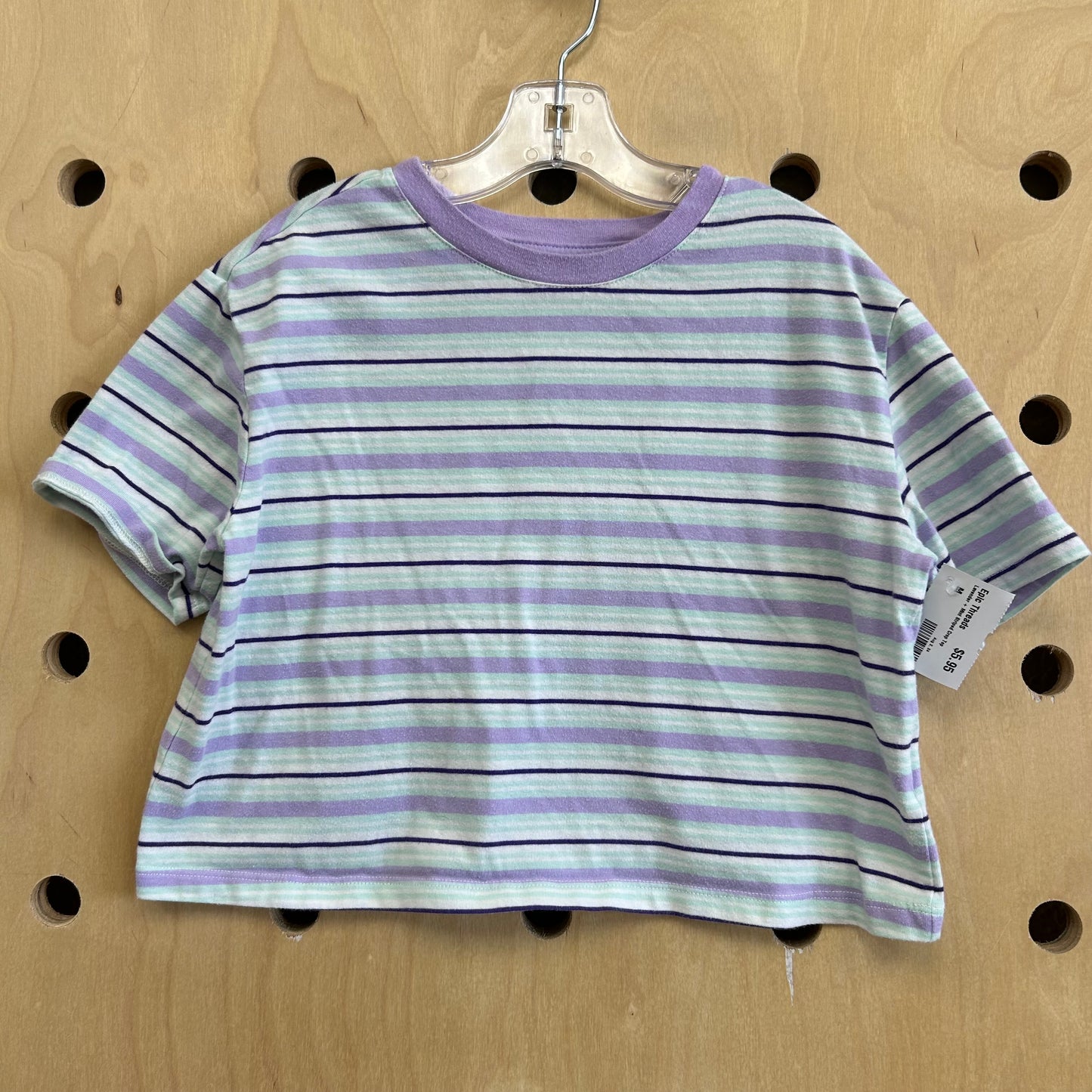 Lavender + Mint Striped Crop Top