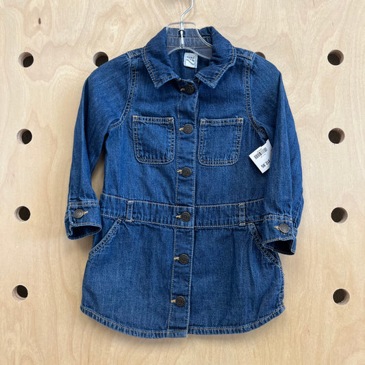 Denim Snap Dress