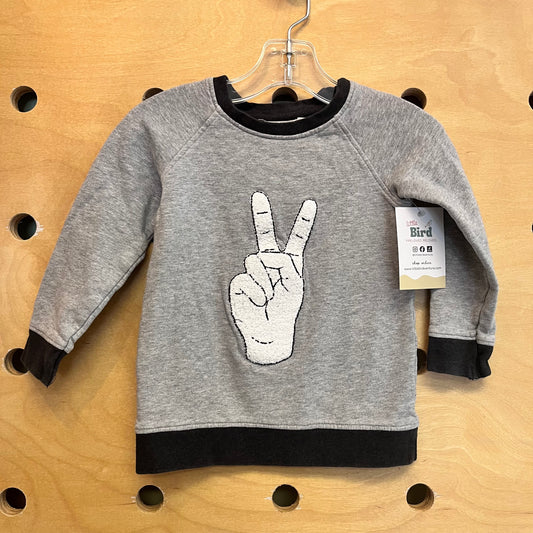 Grey Organic Fuzzy Peace Out LS