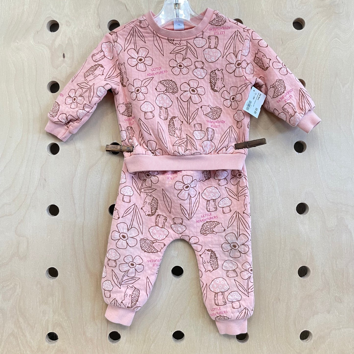 Little Adventures Hedgehog Outfit