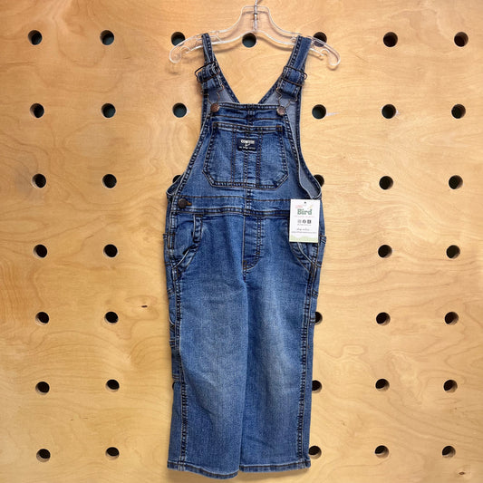 Denim Overalls