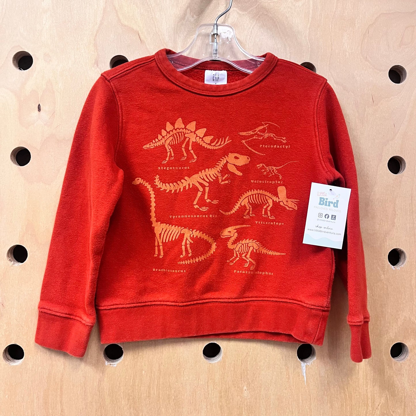 Orange Dino/Names Crewneck