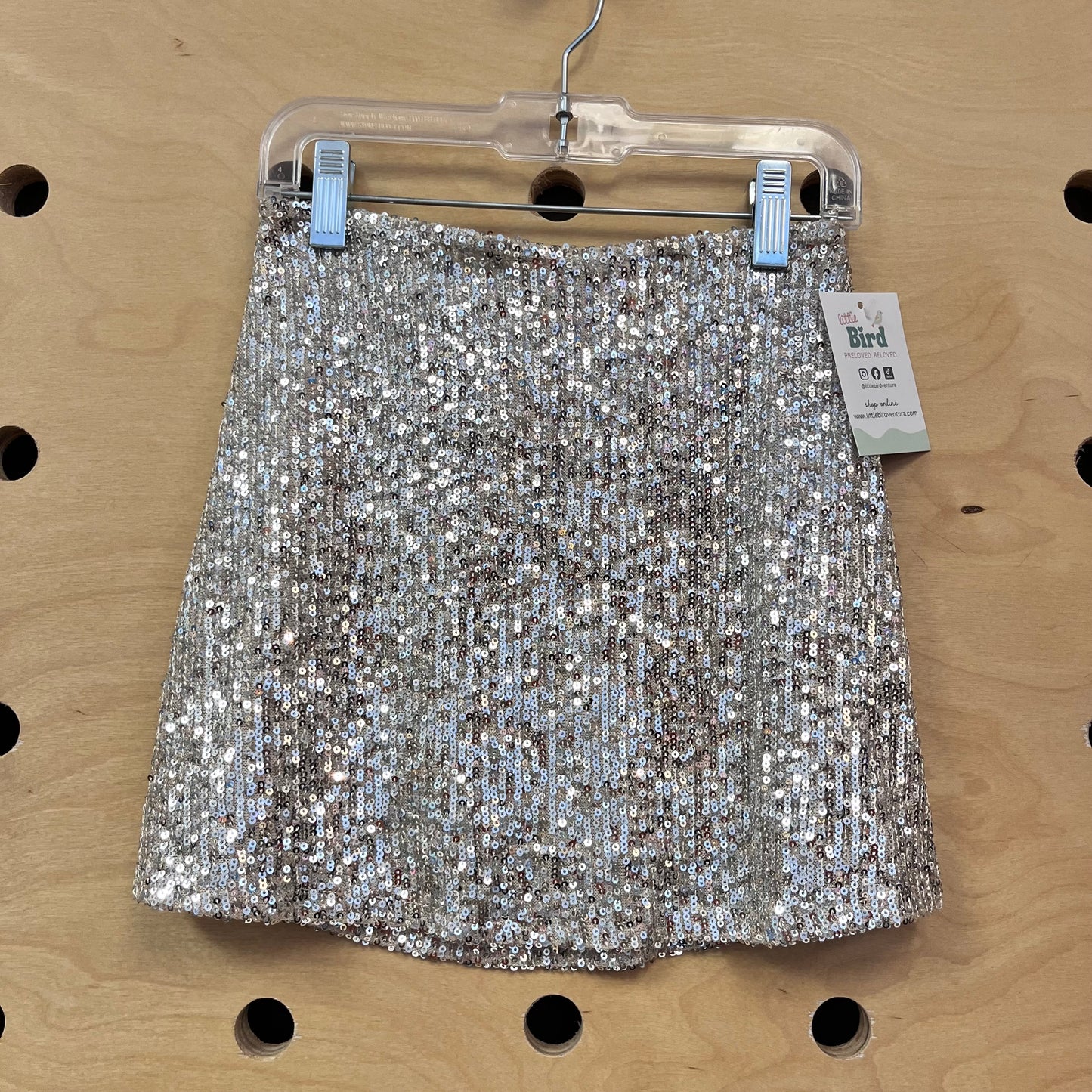 Silver Sequin Skirt
