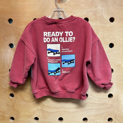 Brick Skate and Fun Pullover