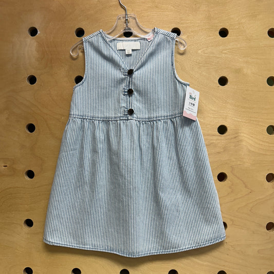 Striped Denim Button Dress