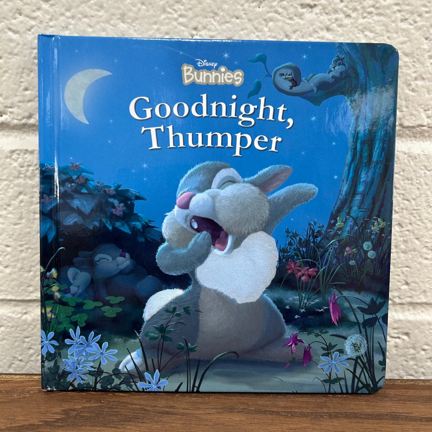 Goodnight, Thumper!