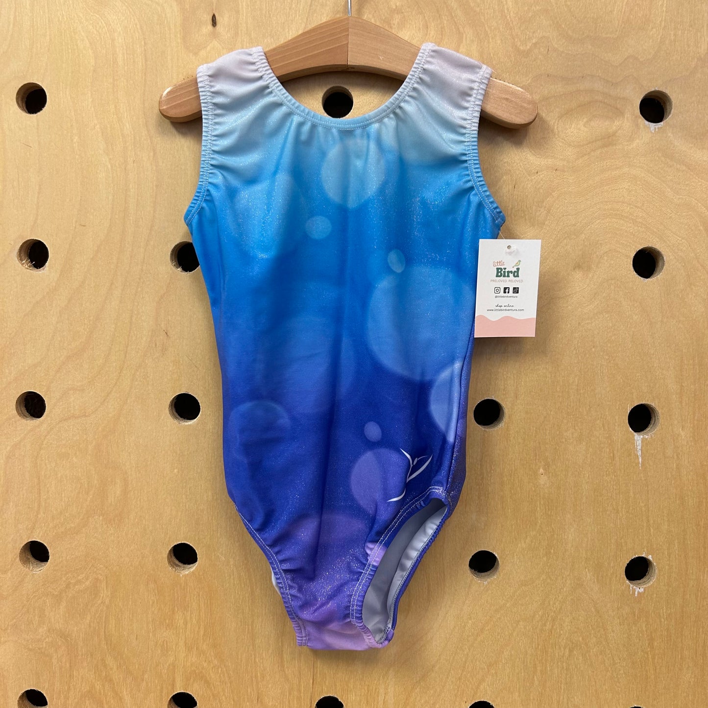 Blue + Purple Shimmer Leotard