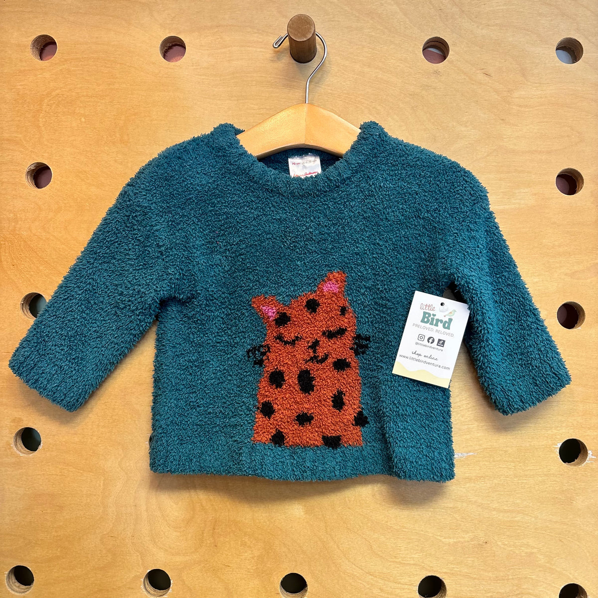 Teal Fuzzy Kitty Sweater
