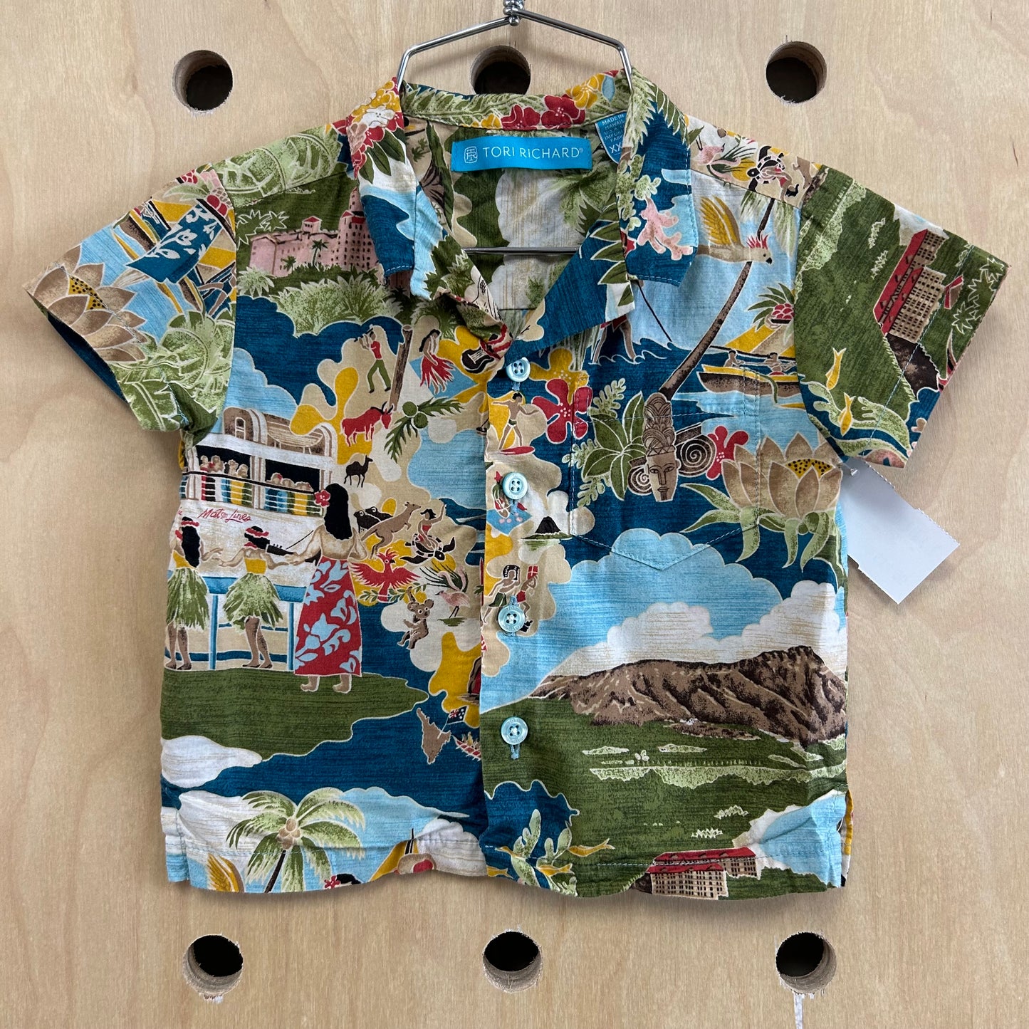Hawaiian Scene Button Up