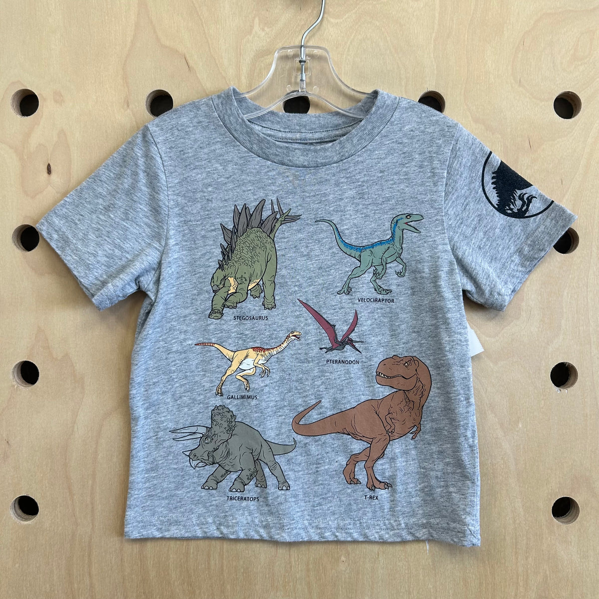 Grey Dinos Tee