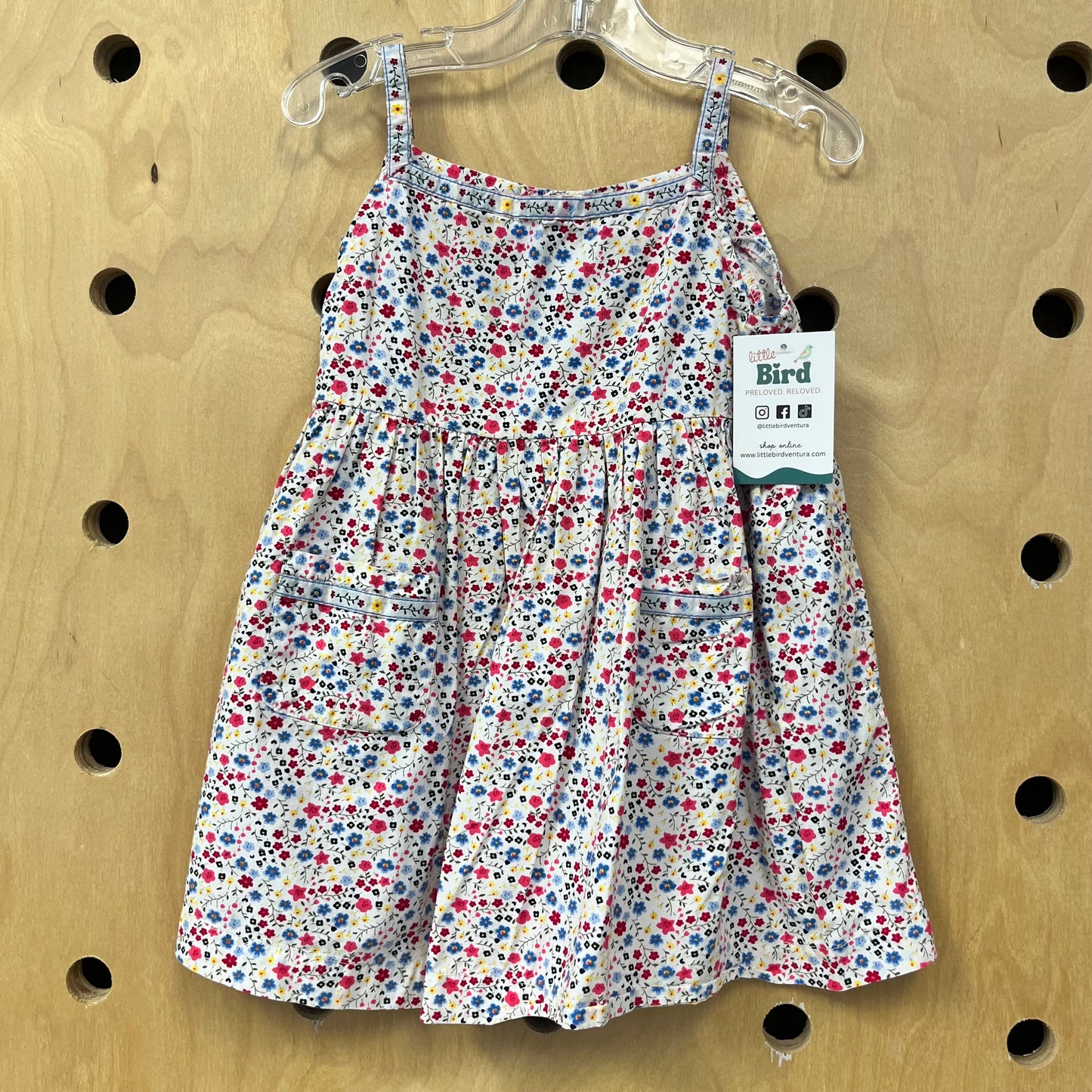 Red + Blue Floral Dress