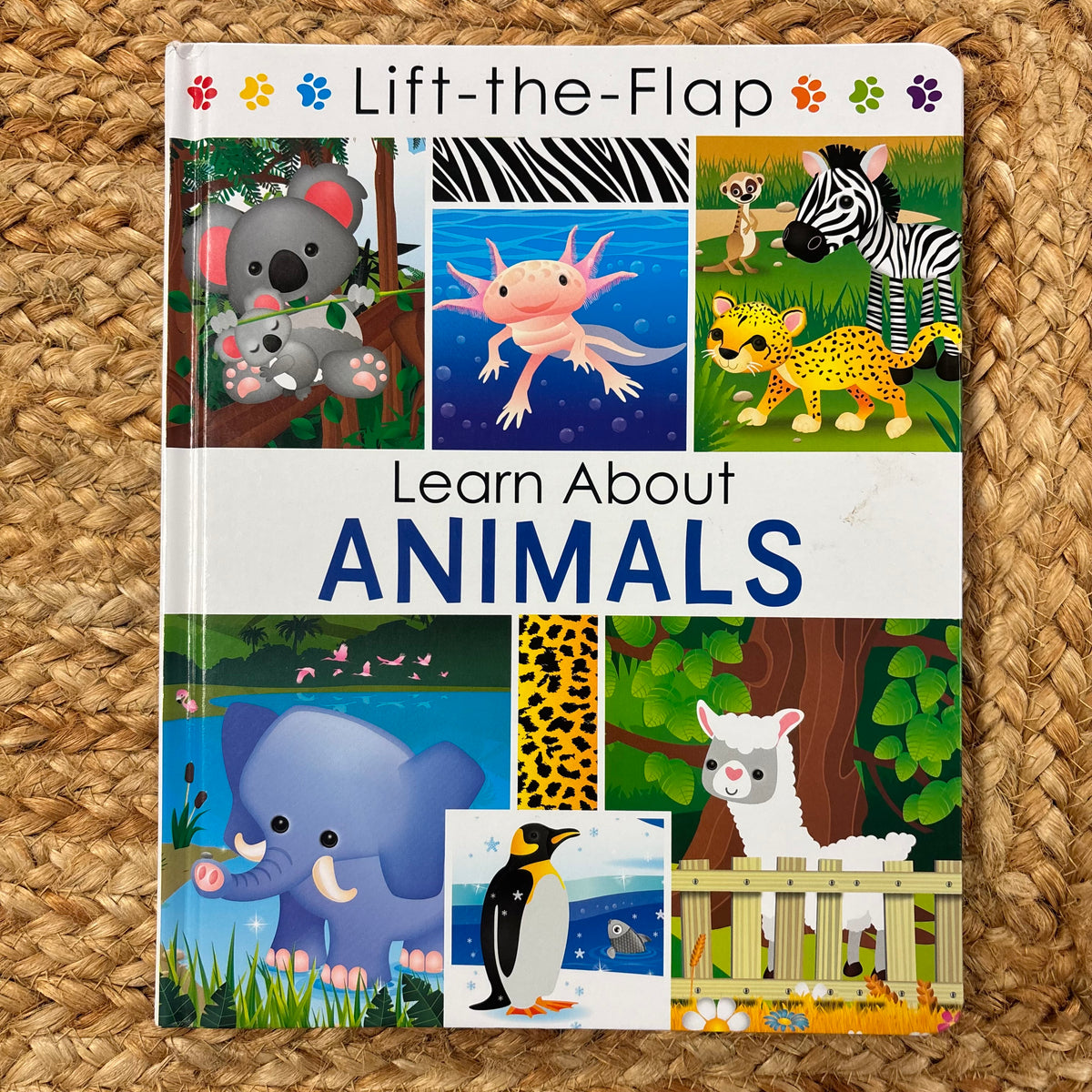 Lift-the-Flap Learn About Animals