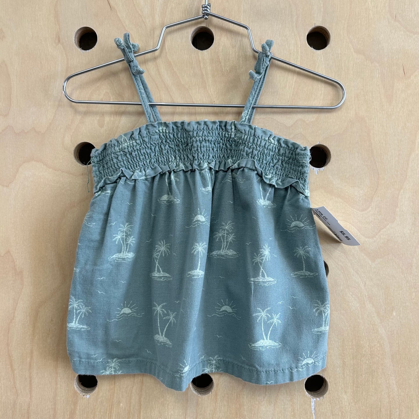 Sage Palm Scene Tank
