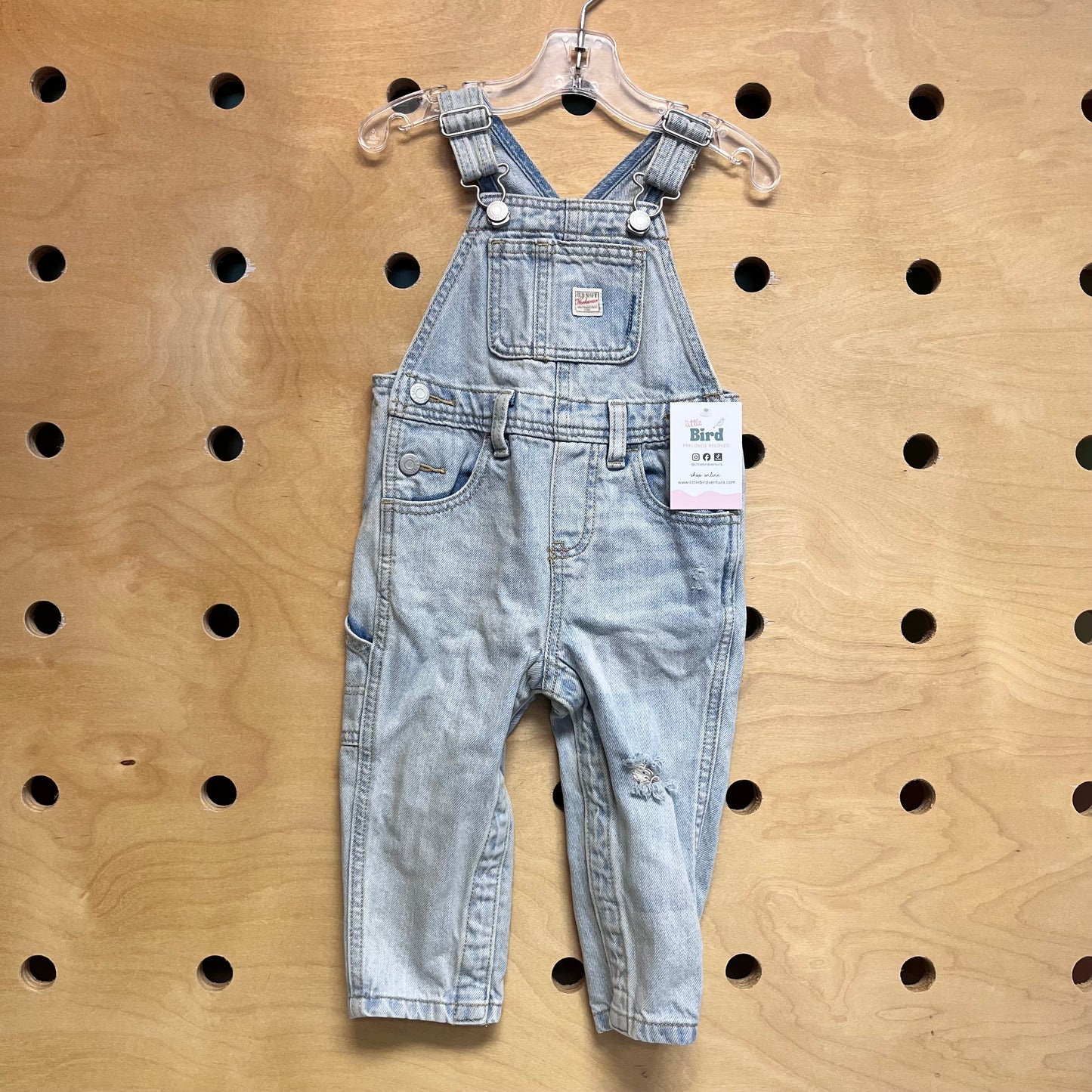Lightwash Distressed Denim Overalls