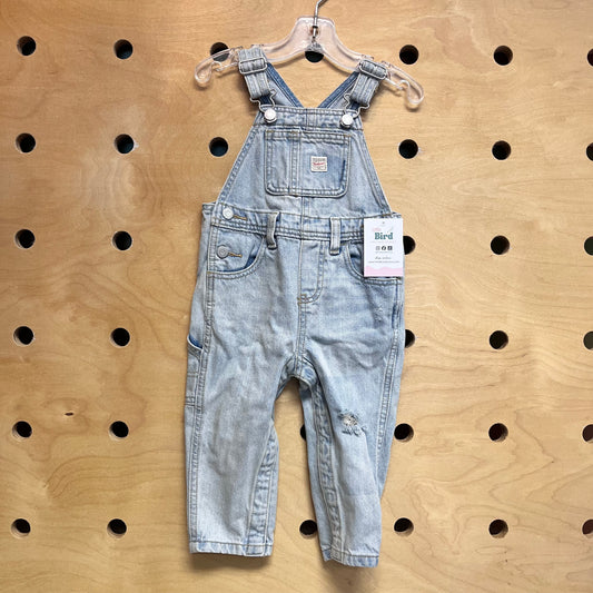 Lightwash Distressed Denim Overalls