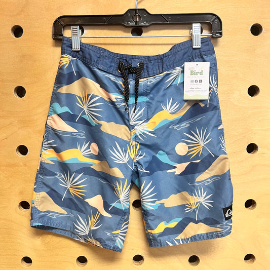 Blue Sunset Board Shorts