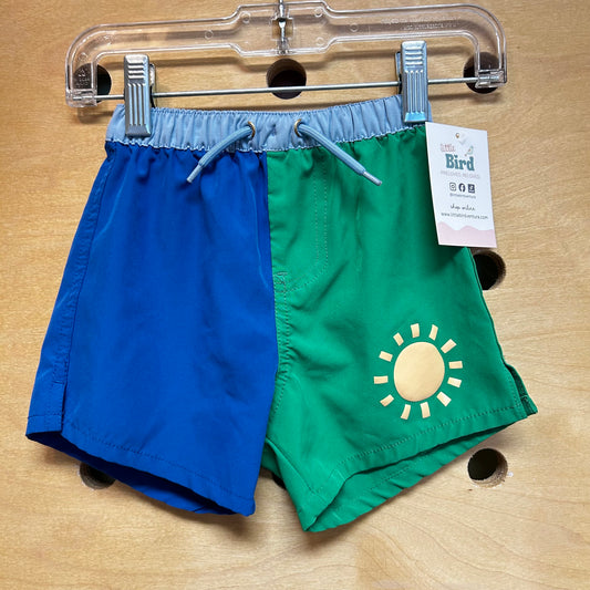 Blue/Green Sun Board Shorts