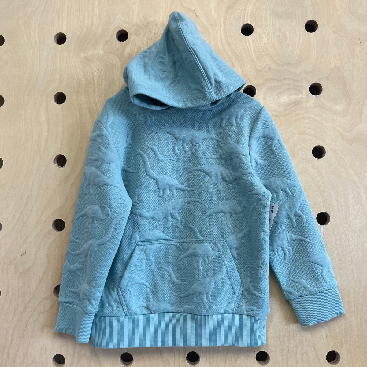 Blue Raised Dino Pullover Hoodie
