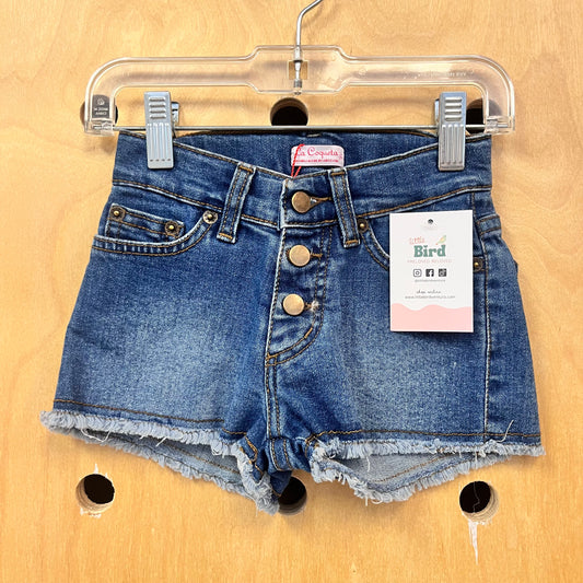 Raw Hem Denim Shorts NEW!