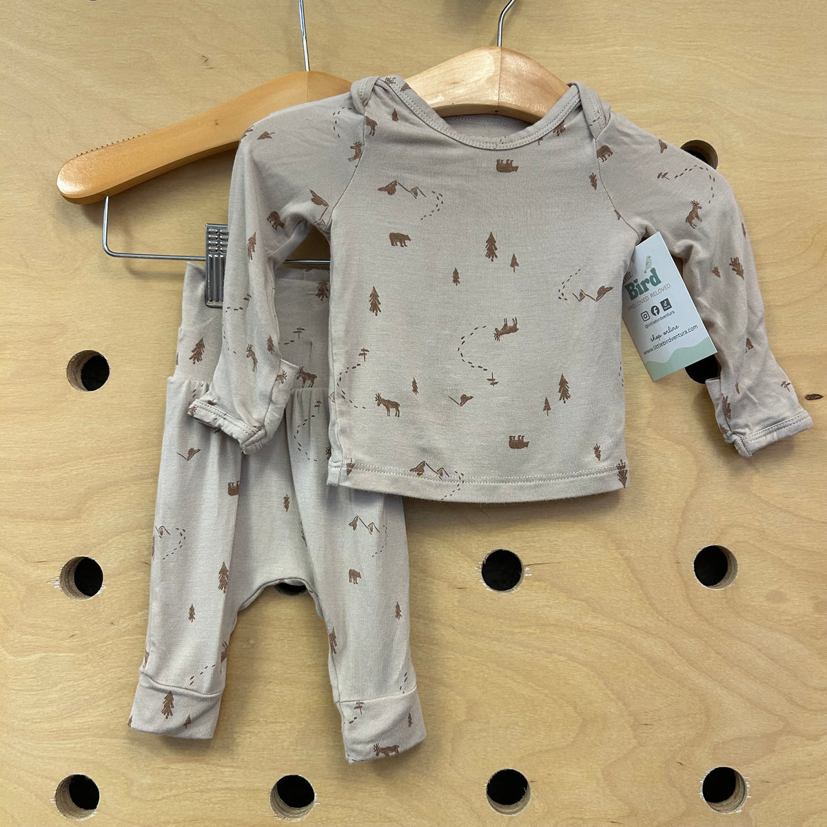 Brown Forest Outfit