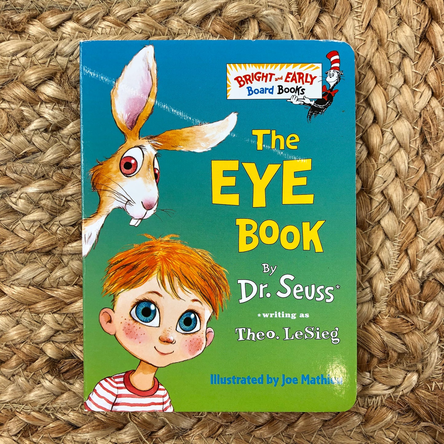 The Eye Book