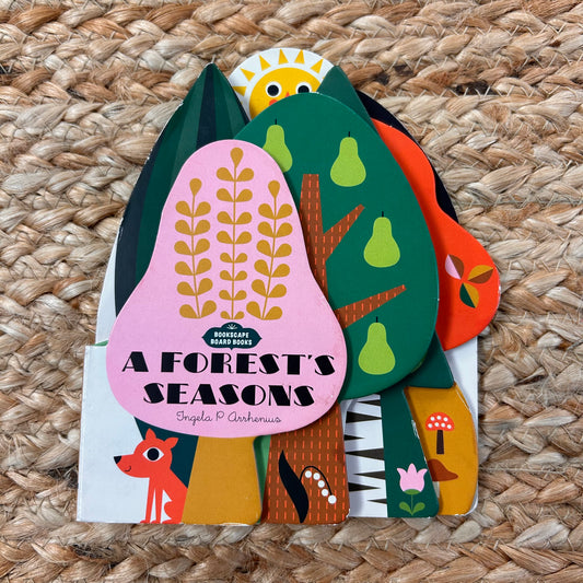 A Forest’s Seasons