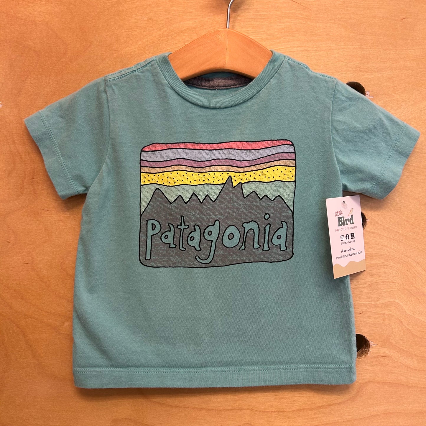 Organic Teal Mountains Logo Tee