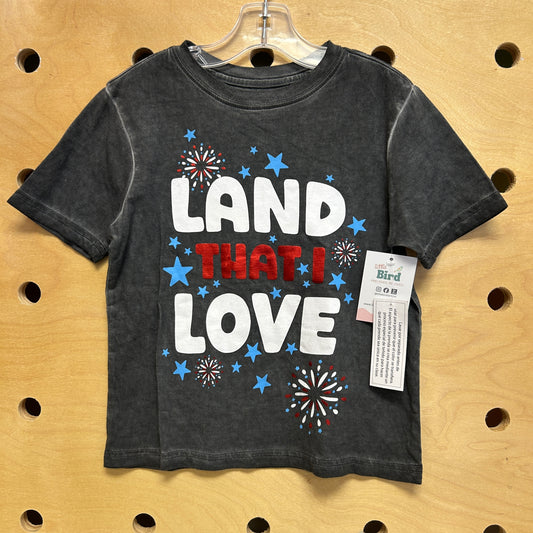 Grey Land that I Love Tee NEW!