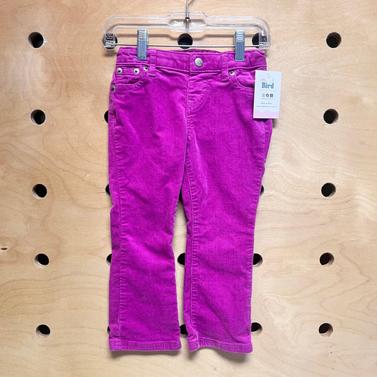 Magenta Cord Pants
