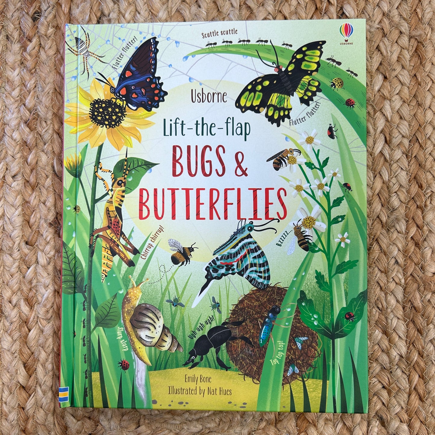 Lift-the-Flap: Bugs & Butterflies