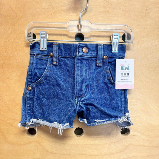 Raw Hem Denim Shorts