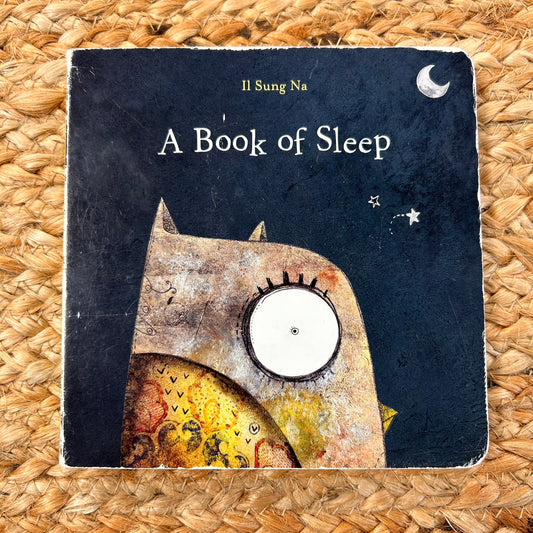 A Book of Sleep