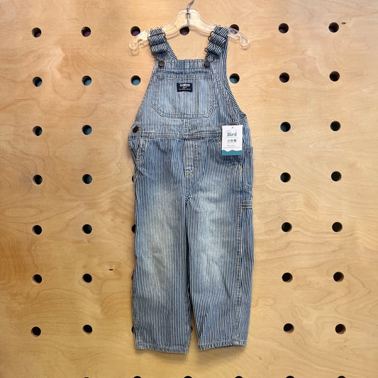 Railroad Stripe Denim Overalls